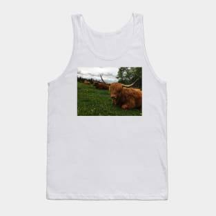 Scottish Highland Cattle Cows 2407 Tank Top